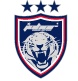 佩尔利斯GSA