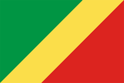 尼日尔