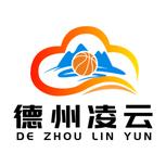 金辰大圣